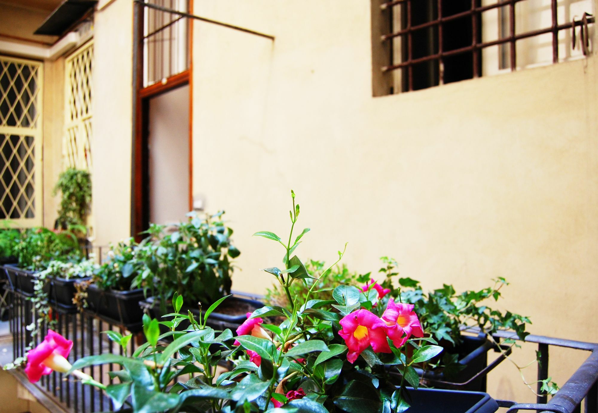 Banco 19 B&B Rome Luaran gambar